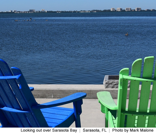 Sarasota Bay from the Patio