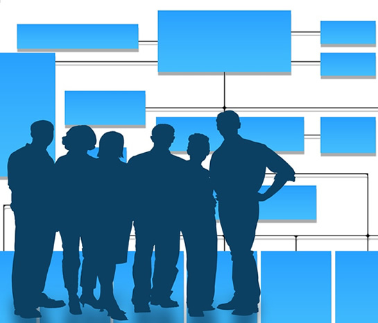Start-up Management Consultants